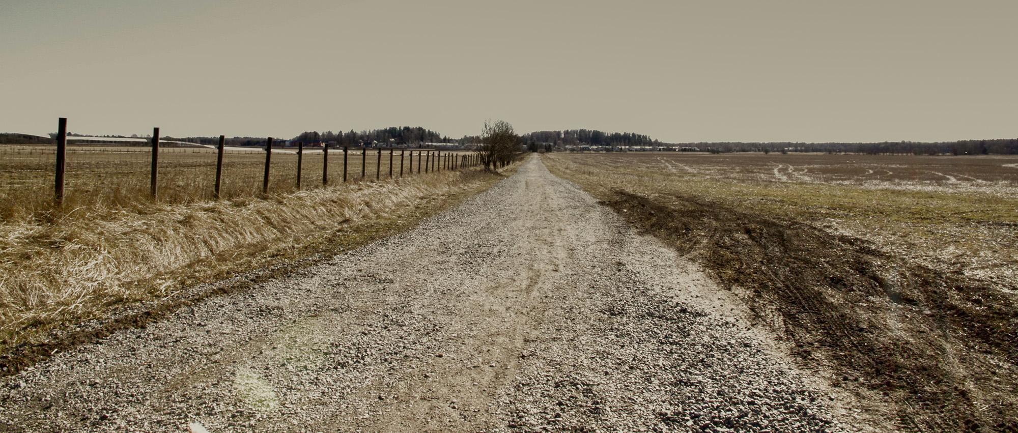 A sand road surrounded by fields in the prairie.