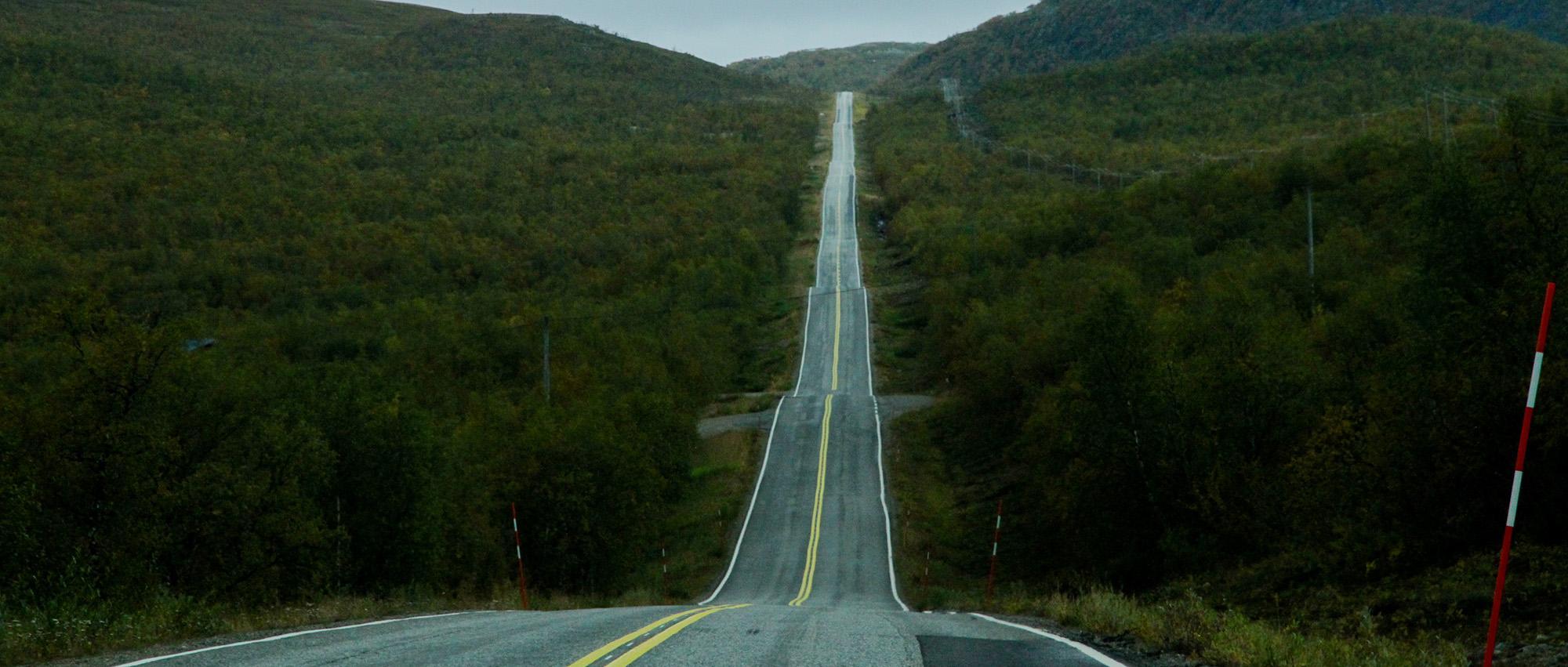 Large forest landscape filled with trees and a long straight road in the middle.