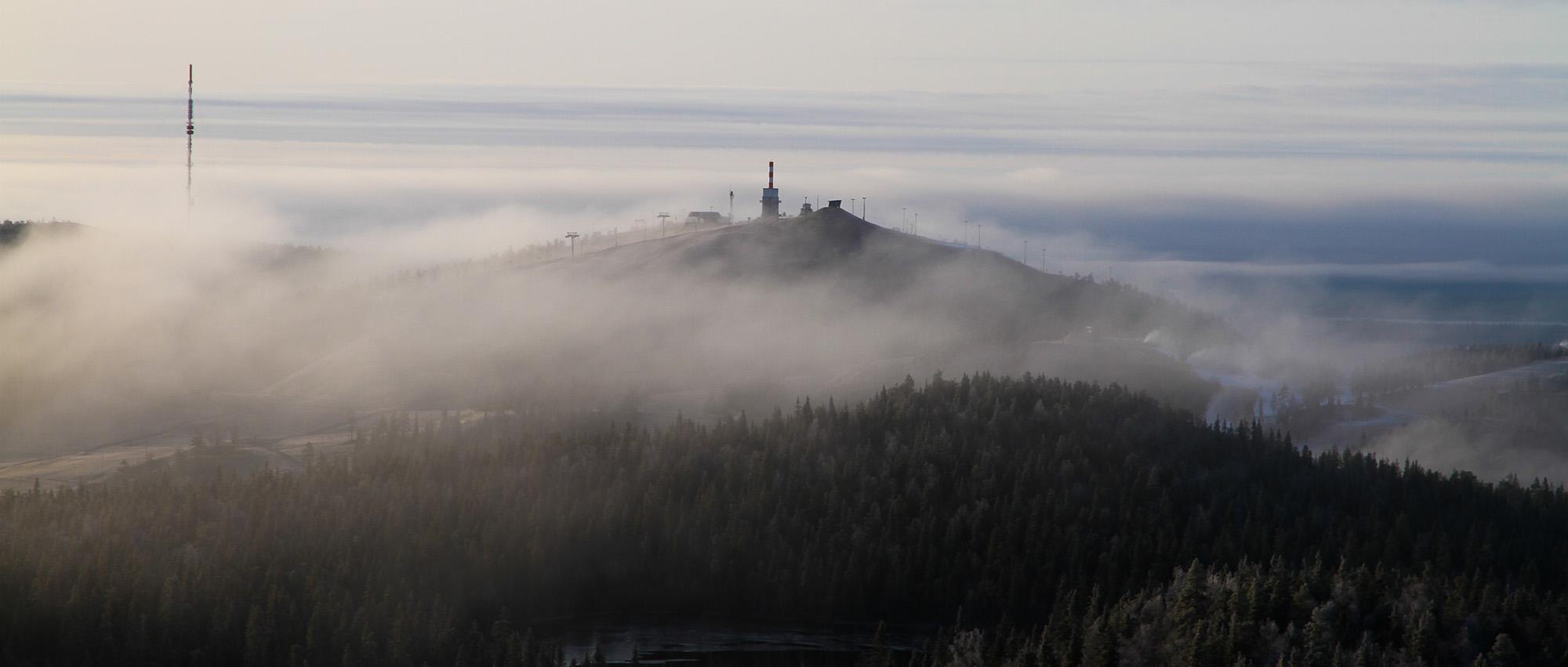 Mountain scenery surrounded by fog and forests